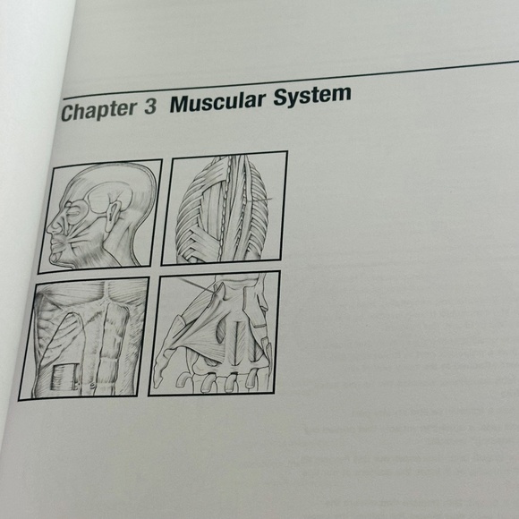 NEW Netter's Anatomy Coloring Book John T Hansen Updated Edition Paperback - Picture 5 of 7